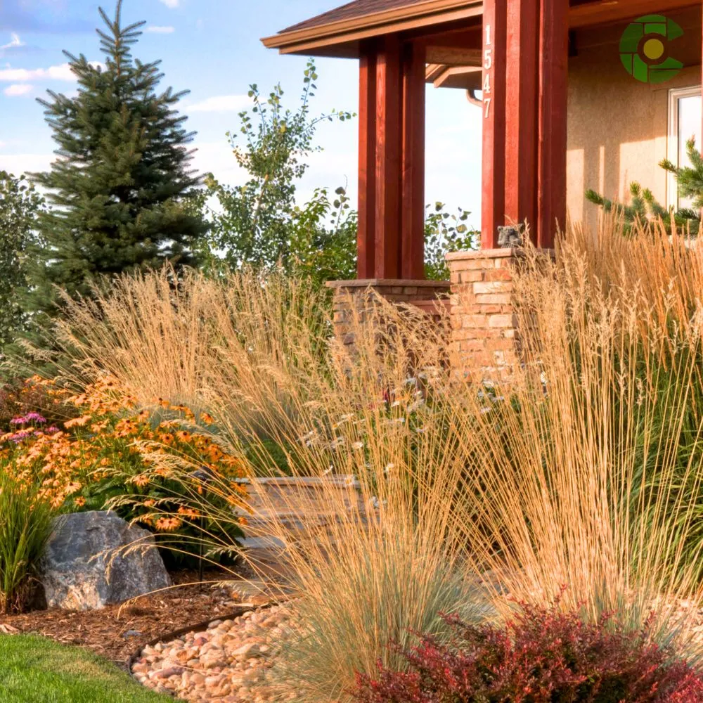 Trusted lawn mowing service for residential properties across Lafayette, CO - 1st Green Colorado