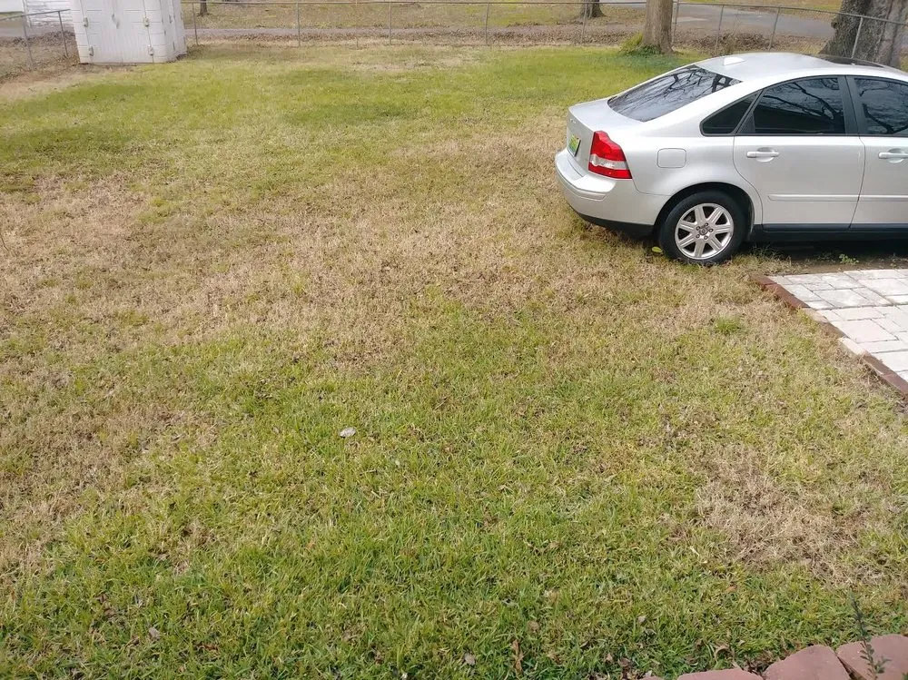 Local lawn mowing service for residential properties across Birmingham, AL - 1st Impression Construction