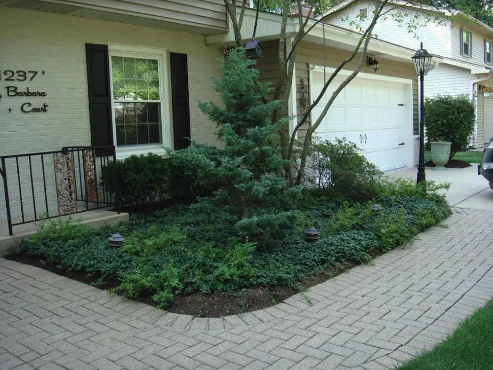 Top-rated yard cleanup service for year-round maintenance in Downers Grove, IL by 1st Impressions