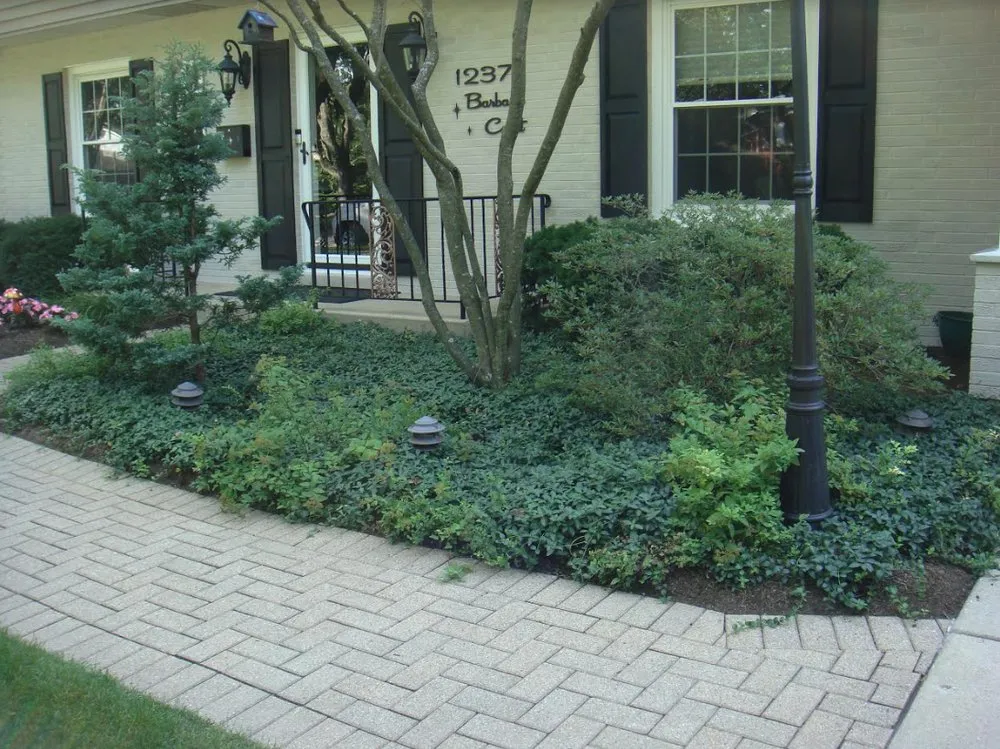 Expert yard cleanup service for outdoor upgrades in Downers Grove, IL by 1st Impressions