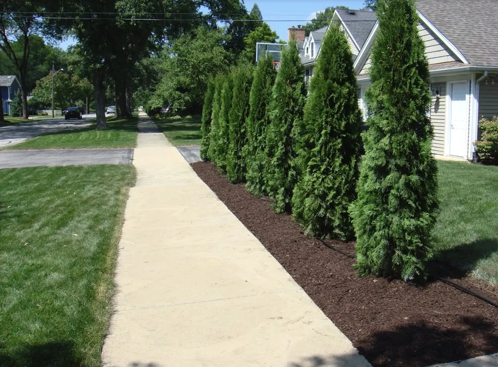 Local yard maintenance experts serving Downers Grove, IL - 1st Impressions
