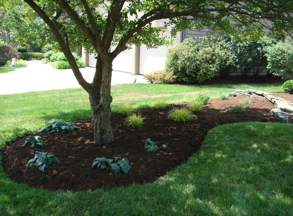 Expert lawn mowing service for beautiful yards across Downers Grove, IL - 1st Impressions