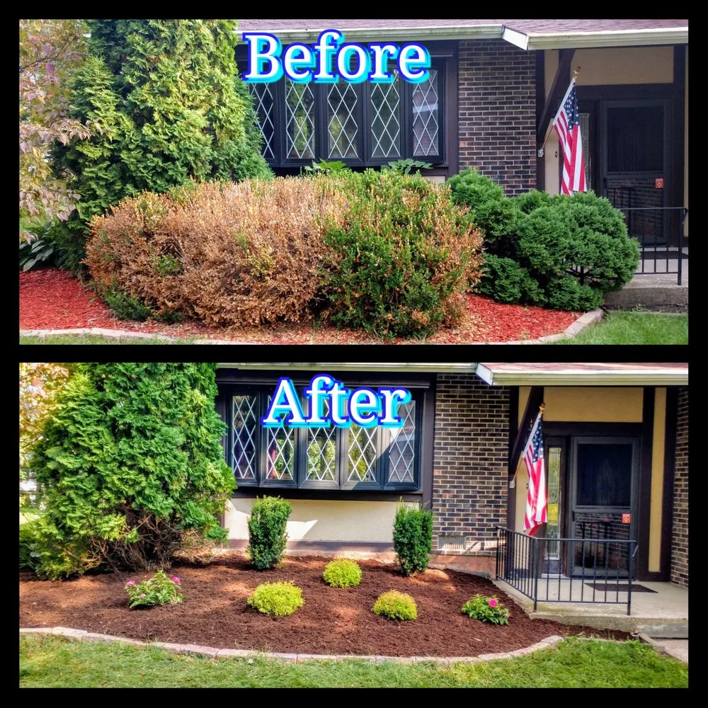 Top-rated yard cleanup service in Downers Grove, IL by 1st Impressions