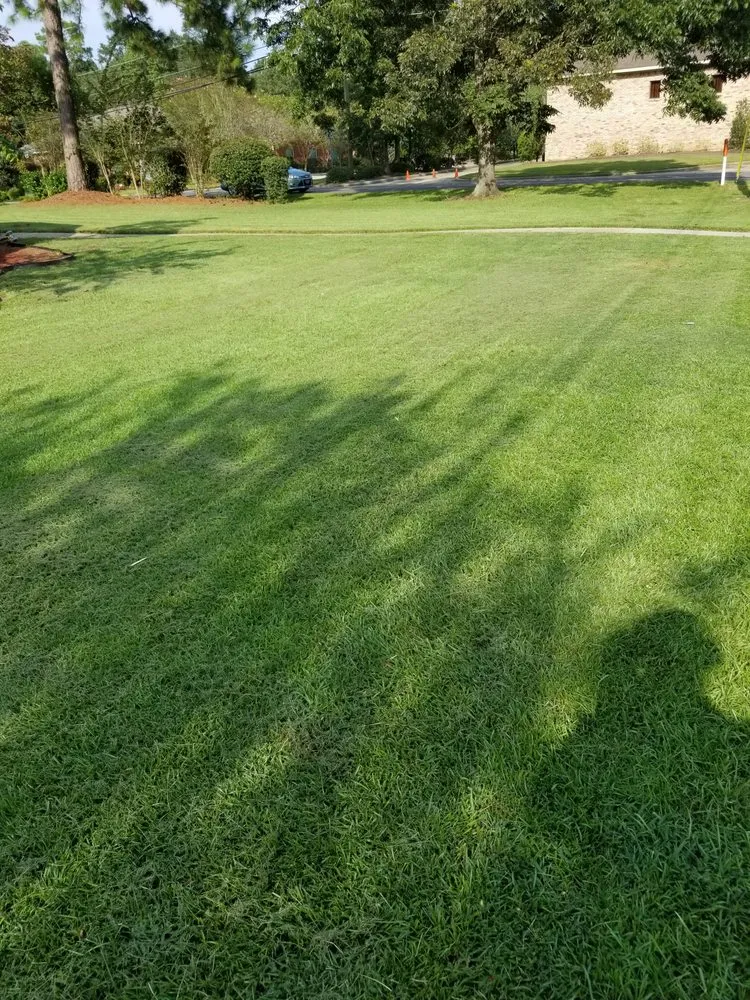 Top-rated residential landscaping in Hattiesburg, MS - 1st N 10 Lawn Care Services