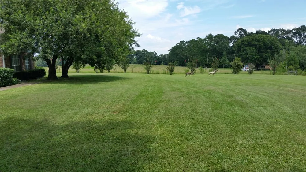 Expert garden landscaping for homes in Hattiesburg, MS by 1st N 10 Lawn Care Services