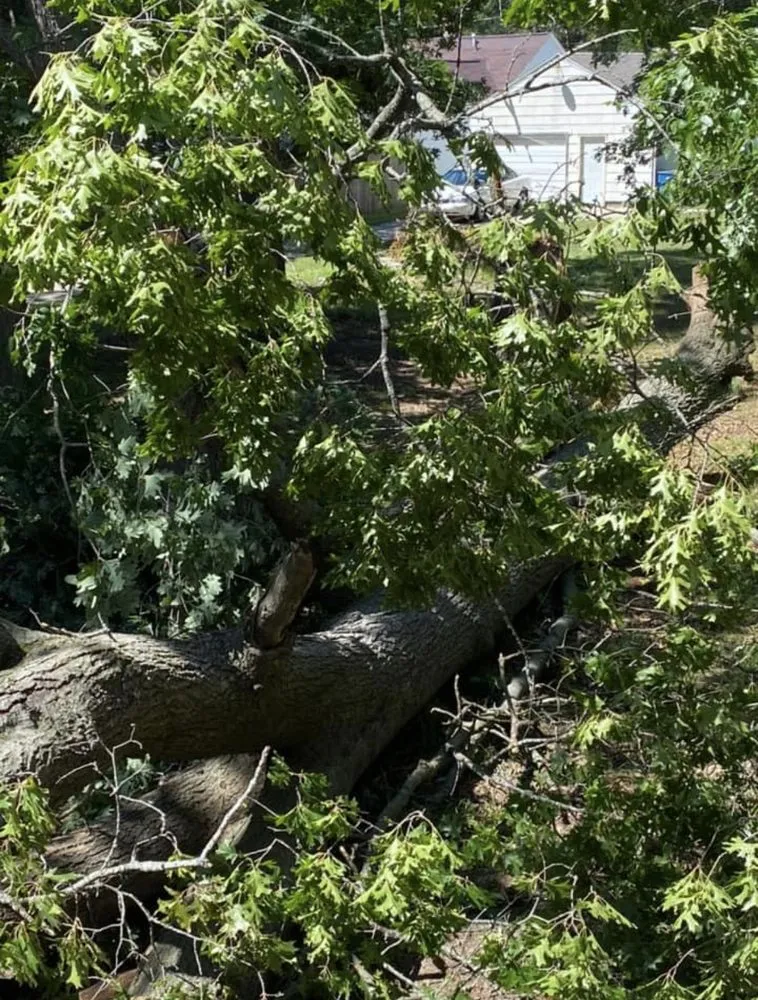 Local lawn care service in Norton Shores, MI by 1st Nations Earth Creations
