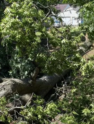 1st Nations Earth Creations