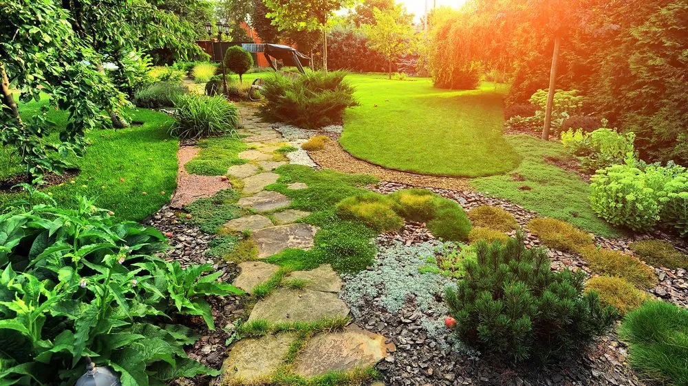 Trusted outdoor landscaping in Harrisburg, NC by 1st Place Turf