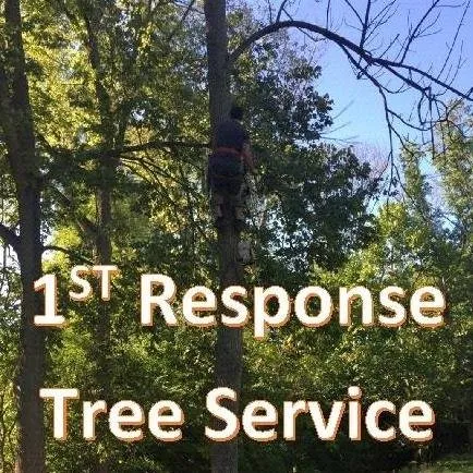 Top-rated outdoor landscaping experts serving Blue Ash, OH - 1st Response Tree Service