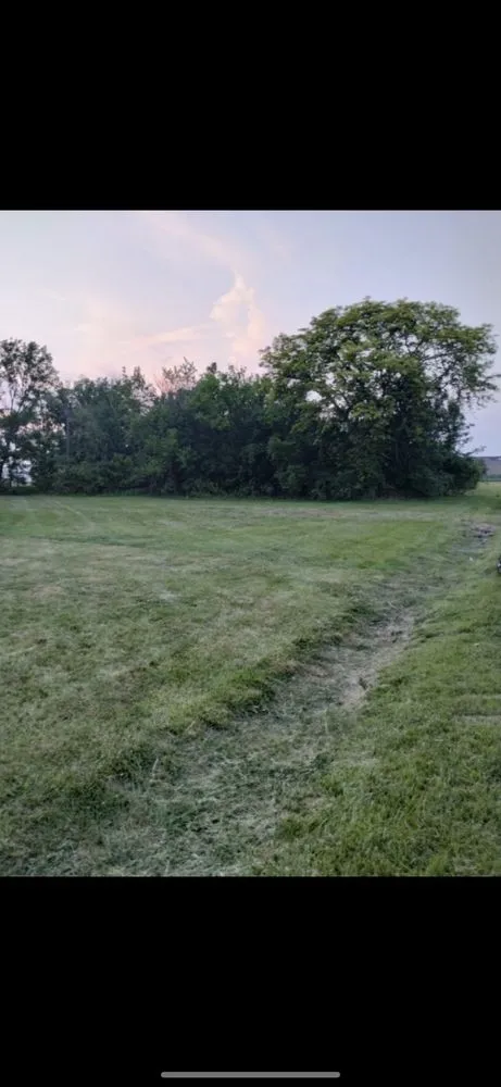 Trusted yard cleanup service near you across Westland, MI - 1Stop Repa1rs