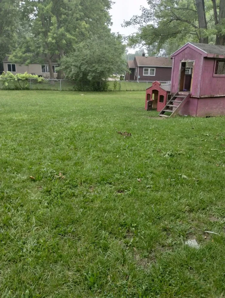 Custom yard cleanup service for outdoor upgrades in Westland, MI by 1Stop Repa1rs