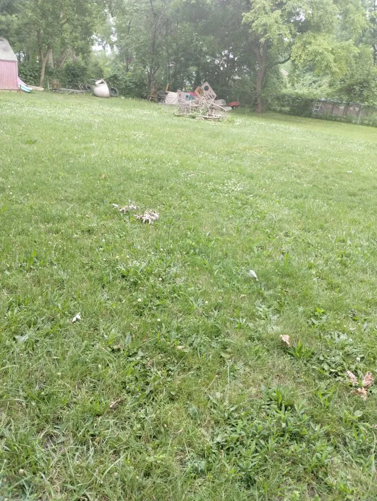 Expert landscape installation for residential properties in Westland, MI by 1Stop Repa1rs