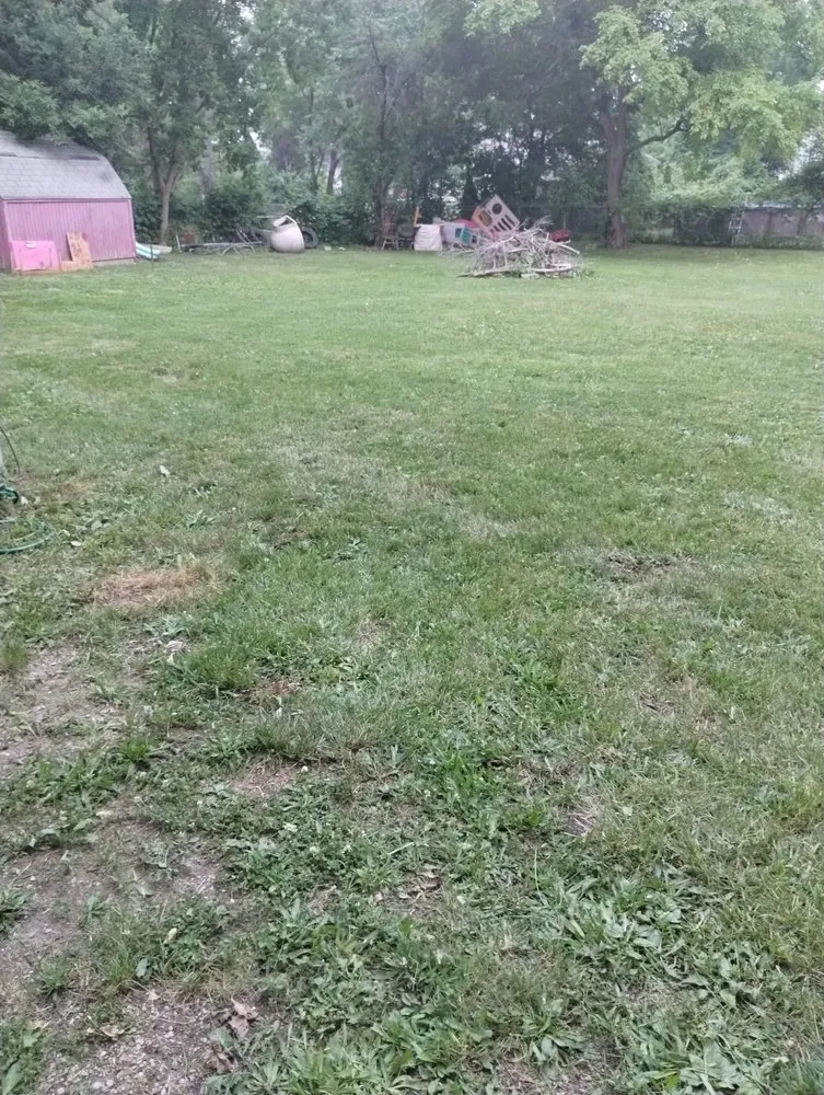 Top-rated landscape design in Westland, MI - 1Stop Repa1rs