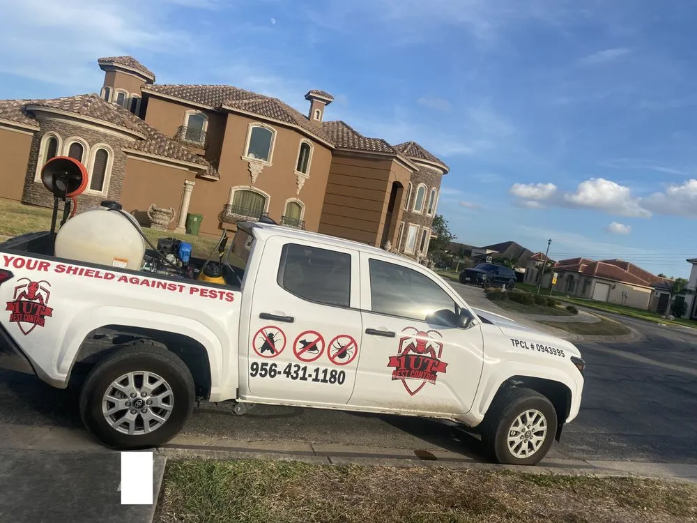 Professional garden landscaping in Brownsville, TX - 1UT Pest Control