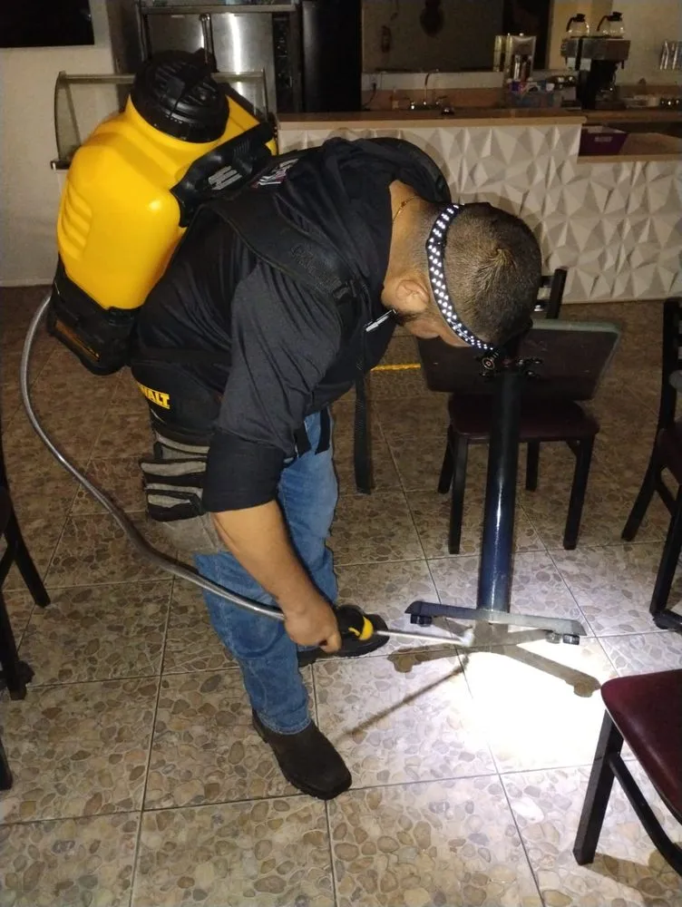 Expert yard maintenance in Brownsville, TX by 1UT Pest Control