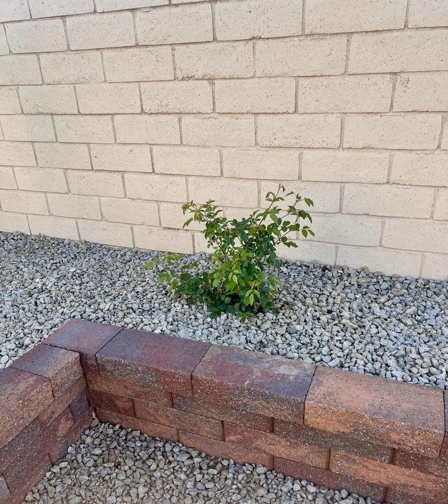 Trusted residential landscaping experts serving Las Vegas, NV - 2-15 Landscaping