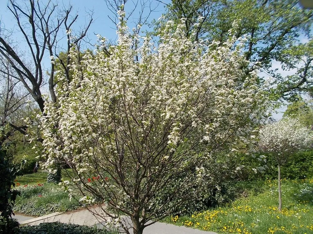 Expert yard maintenance in Lily, KY - 2 4 U Landscaping