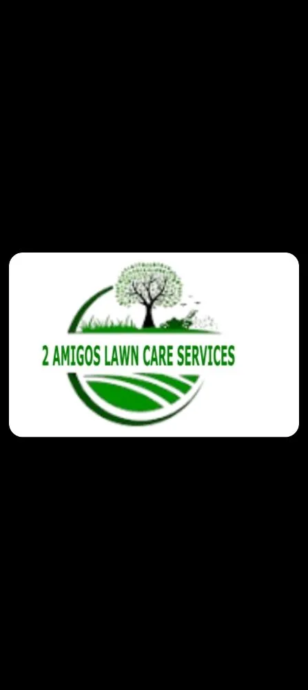Professional landscape installation in Mount Airy, NC - 2 Amigo Lawn Care/ Camera Installation Service