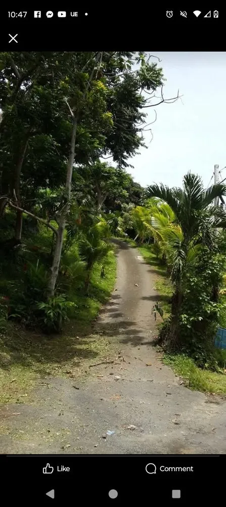 Custom landscape design experts serving Mount Airy, NC - 2 Amigo Lawn Care/ Camera Installation Service