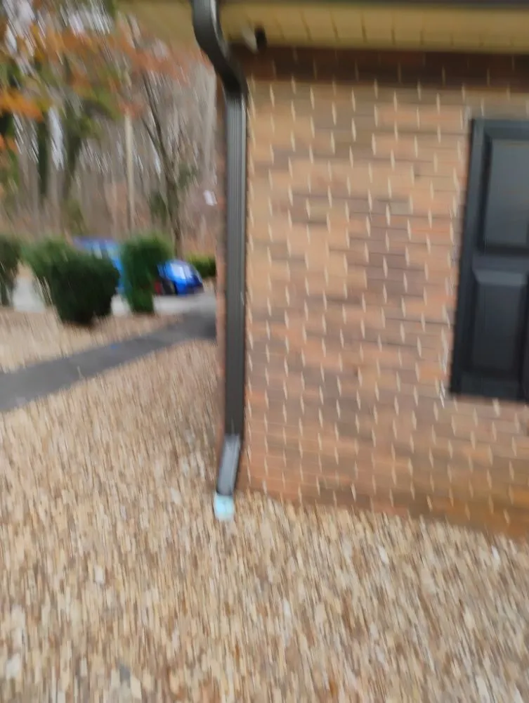 Professional yard maintenance in Mount Airy, NC - 2 Amigo Lawn Care/ Camera Installation Service