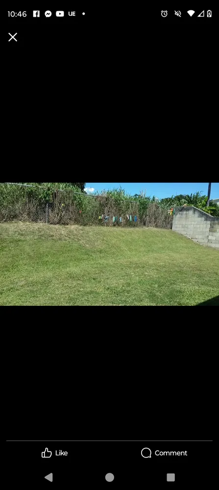 Reliable garden landscaping in Mount Airy, NC - 2 Amigo Lawn Care/ Camera Installation Service