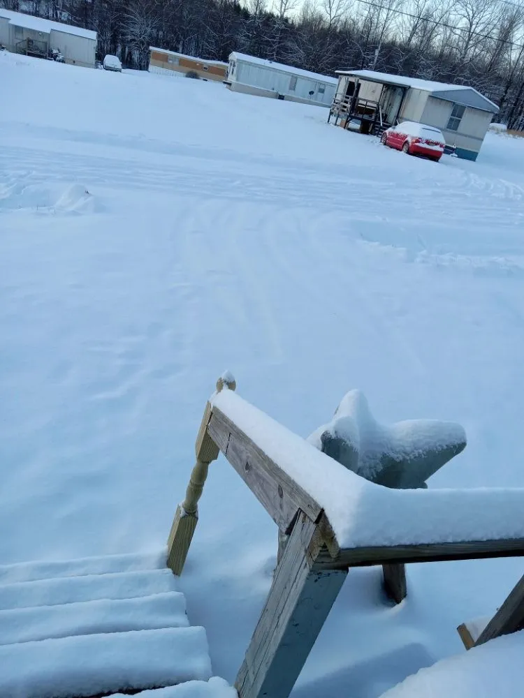 Trusted residential landscaping near you in Mount Airy, NC by 2 Amigo Lawn Care/ Camera Installation Service