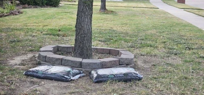 Top-rated outdoor landscaping for outdoor upgrades across Prosper, TX - 2 Best Friends & Their Lawnmower