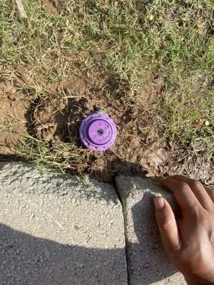 2 Borthers Landscaping And Irrigation Logo