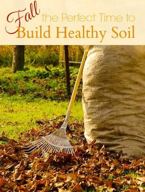 Professional lawn care service for year-round maintenance in Wichita, KS by 2 Boys & A Mower