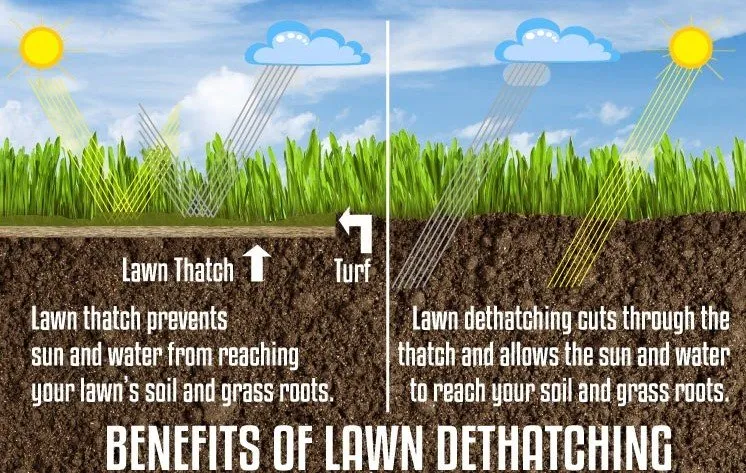 Top-rated yard cleanup service in Wichita, KS by 2 Boys & A Mower