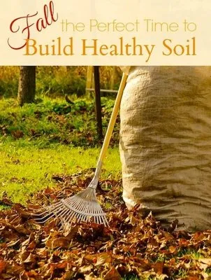 2 Boys & A Mower Logo