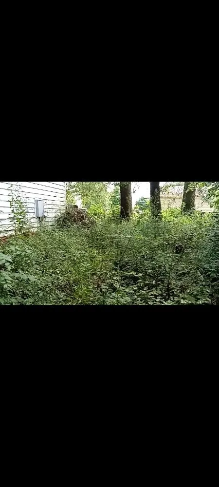 Reliable landscaping services experts serving Paris, IL - 2 Broke Guys Landscaping Services