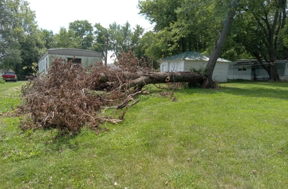 Expert lawn care service for year-round maintenance in Paris, IL by 2 Broke Guys Landscaping Services