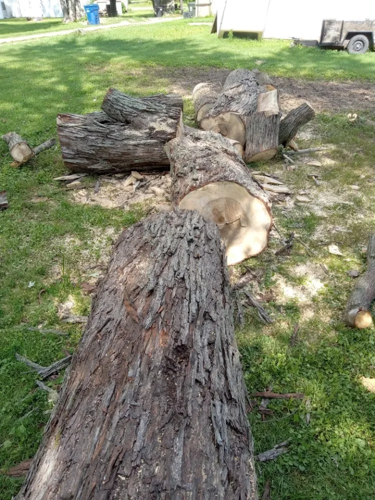 Affordable garden landscaping in Paris, IL - 2 Broke Guys Landscaping Services