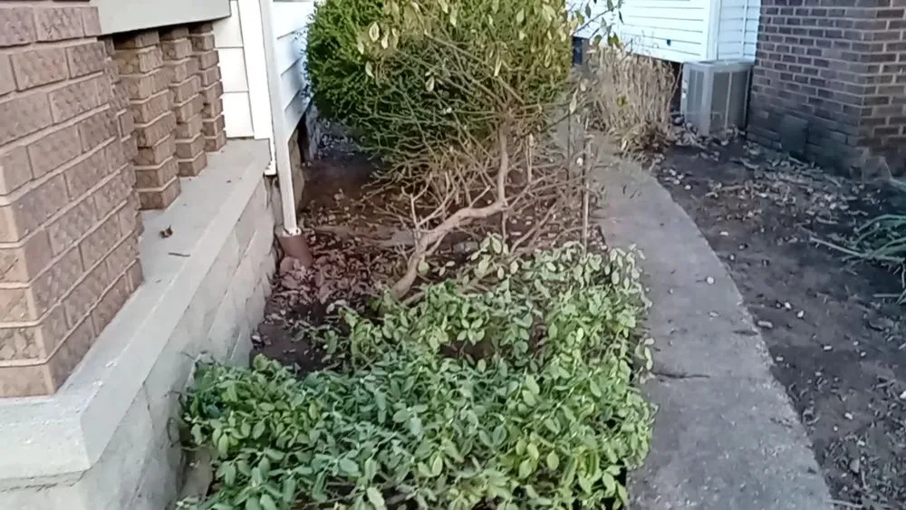 Reliable lawn care service in Paris, IL by 2 Broke Guys Landscaping Services