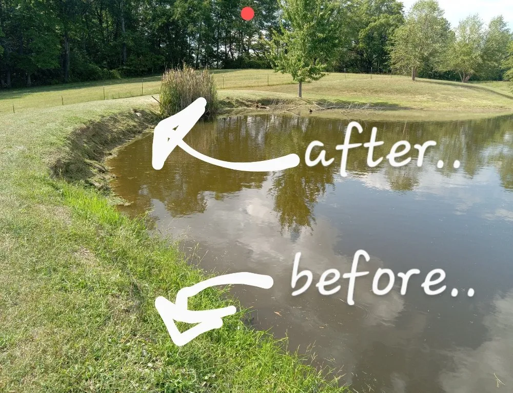 Professional lawn mowing service in Paris, IL by 2 Broke Guys Landscaping Services