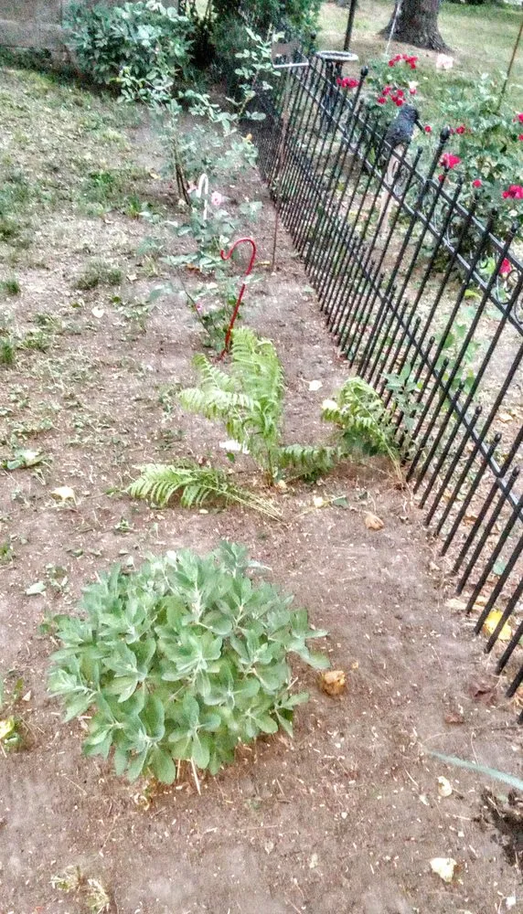 Custom landscape design with custom design in Paris, IL by 2 Broke Guys Landscaping Services