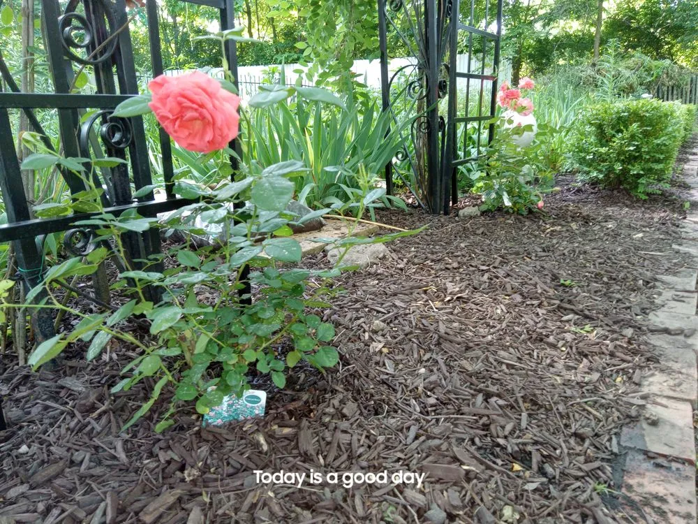 Trusted landscape design in Paris, IL by 2 Broke Guys Landscaping Services