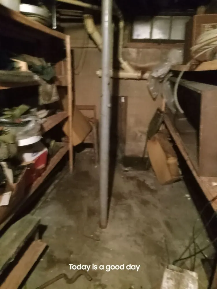 Affordable landscape installation for beautiful yards across Paris, IL - 2 Broke Guys Landscaping Services