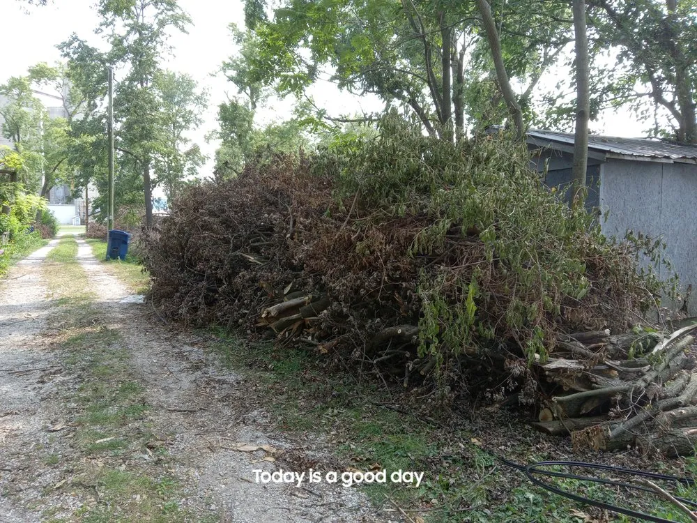 Reliable landscape design in Paris, IL - 2 Broke Guys Landscaping Services