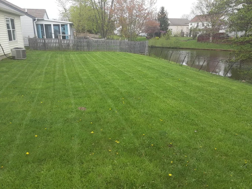 Reliable lawn care service experts serving Indianapolis, IN - 2 Bros & Friends