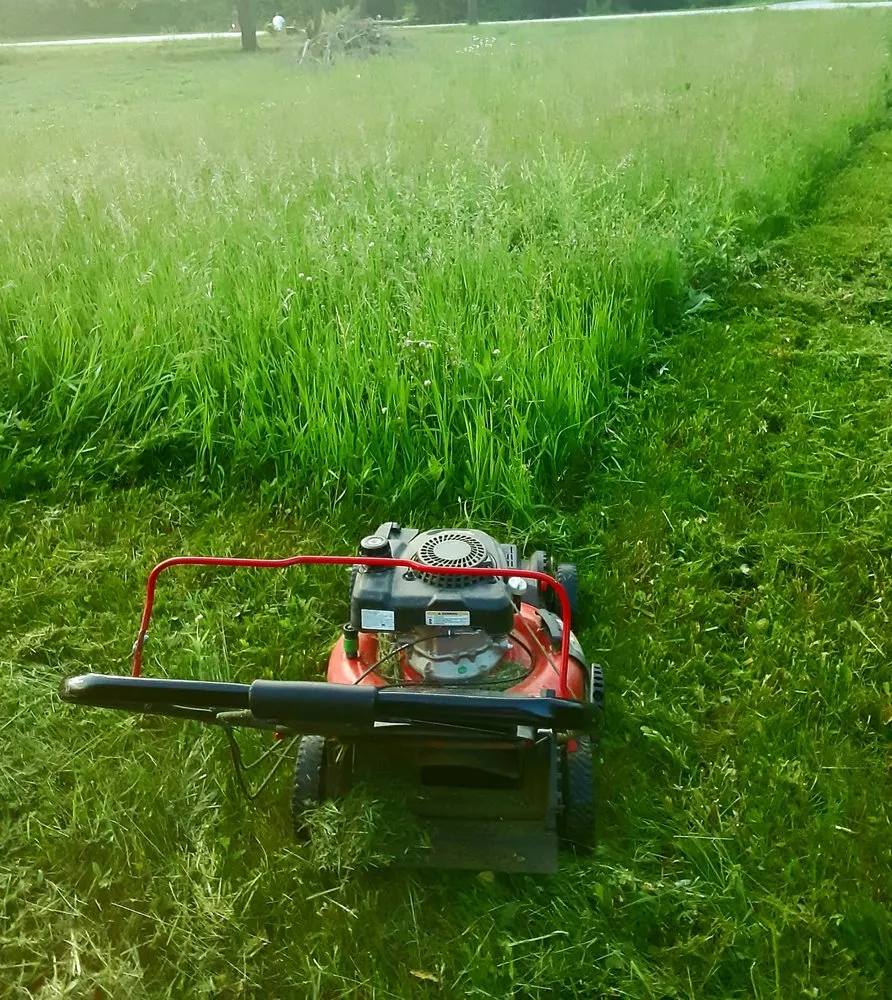 Expert landscaping services in Indianapolis, IN by 2 Bros & Friends