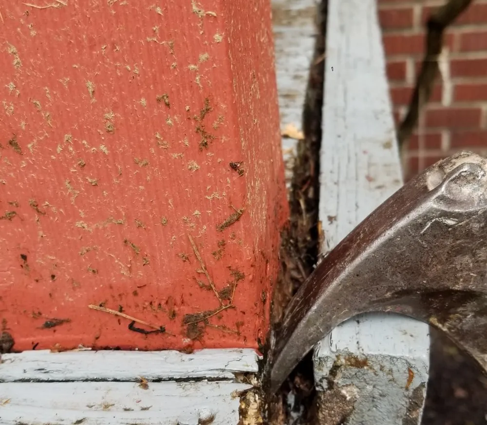 Professional residential landscaping in Seattle, WA - 2 Bros Landscaping