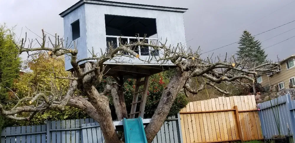 Professional lawn care service in Seattle, WA by 2 Bros Landscaping