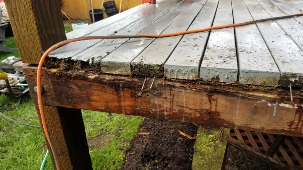 Expert yard cleanup service in Seattle, WA by 2 Bros Landscaping