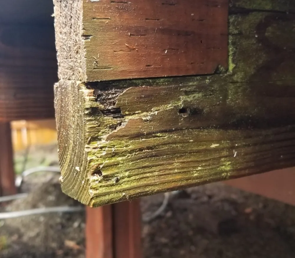 Professional outdoor landscaping for outdoor upgrades in Seattle, WA by 2 Bros Landscaping