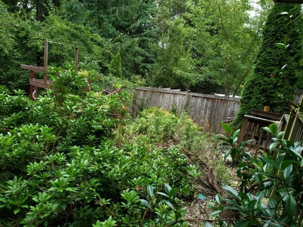 Top-rated lawn mowing service in Seattle, WA by 2 Bros Landscaping