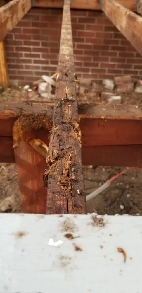 Reliable landscaping services in Seattle, WA by 2 Bros Landscaping