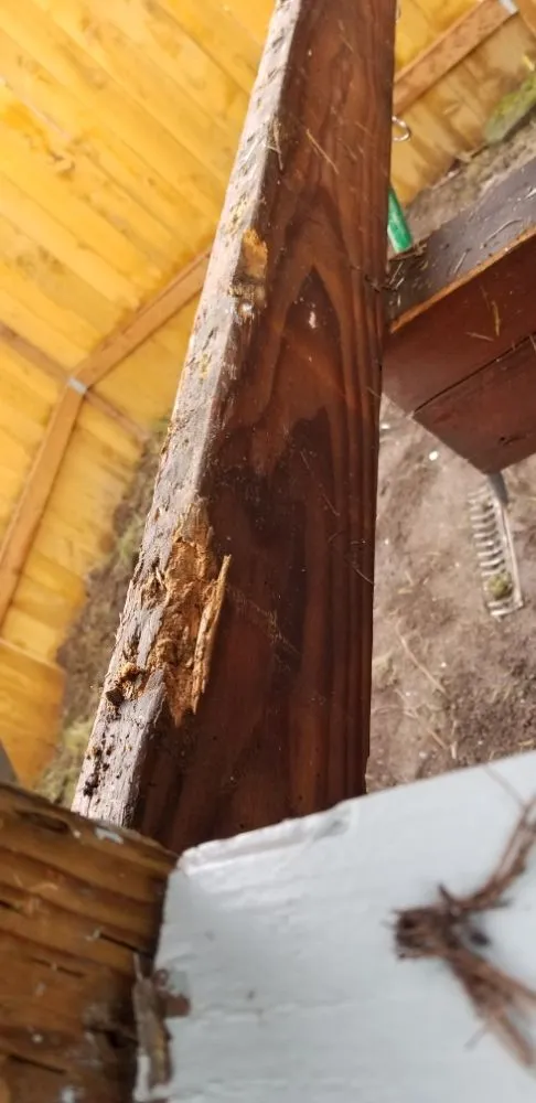 Affordable landscape design in Seattle, WA - 2 Bros Landscaping