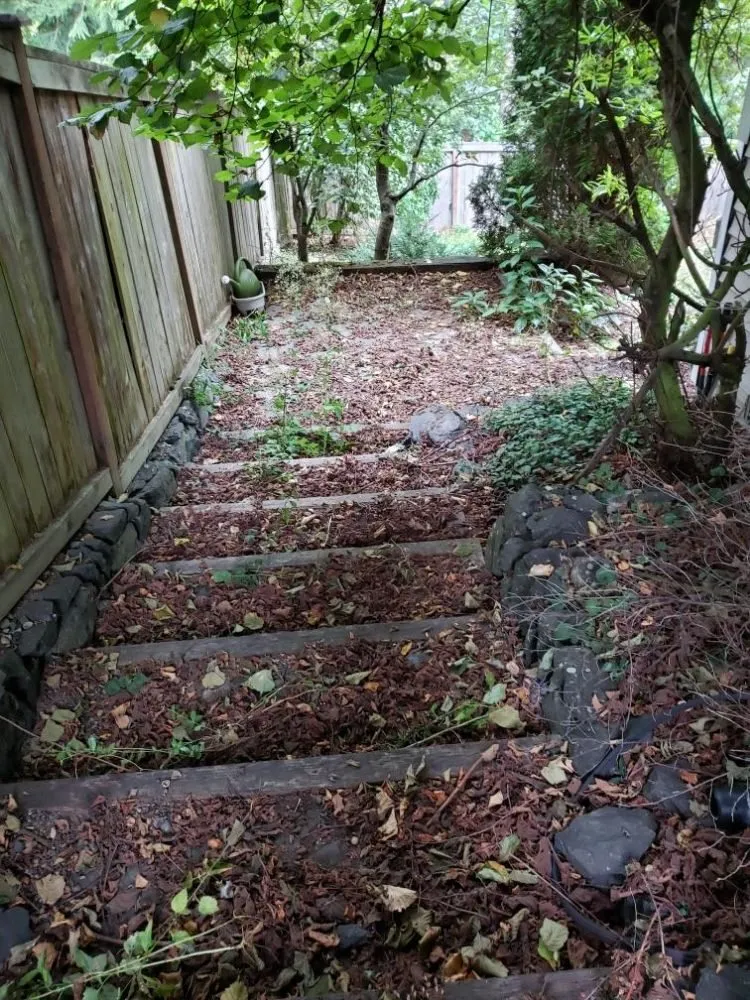 Local yard cleanup service experts serving Seattle, WA - 2 Bros Landscaping